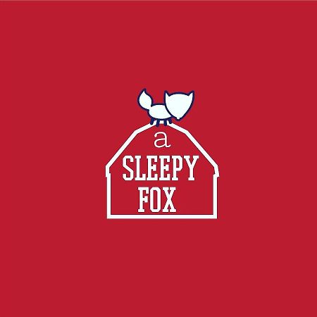 Hostel A Sleepy Fox Nové Dillí Exteriér fotografie