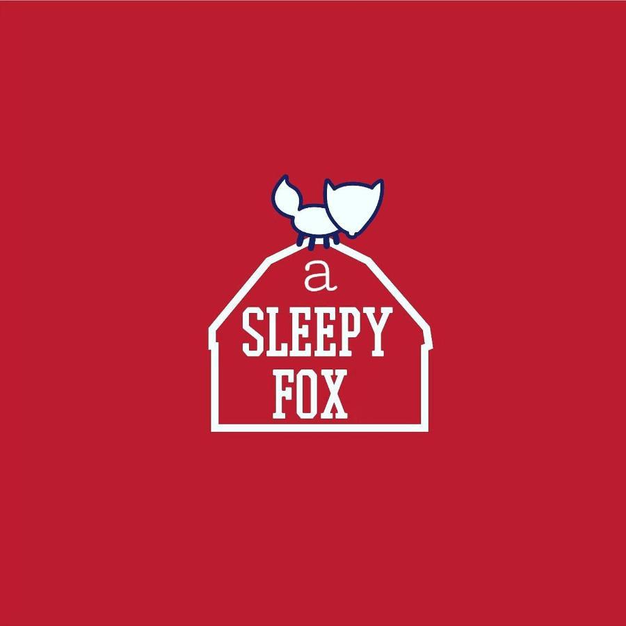 Hostel A Sleepy Fox Nové Dillí Exteriér fotografie